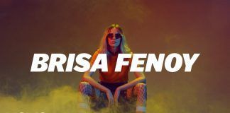 Brisa Fenoy