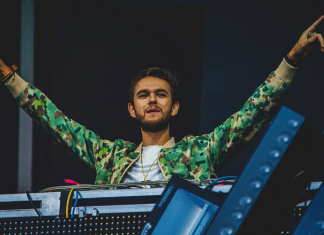 Zedd In The Park + The Middle Remixes