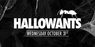 HallowANTS