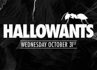 HallowANTS