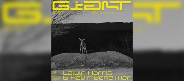 calvin-harris